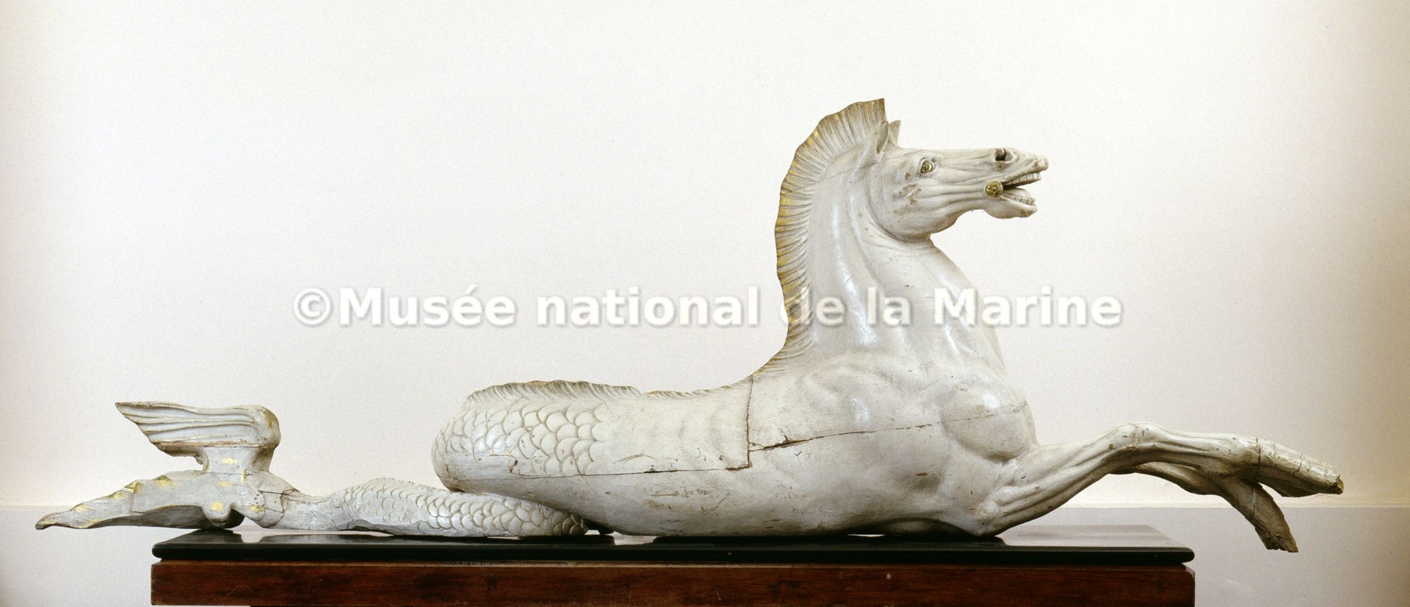 Cheval marin, tête relevée, vue du profil droit (avant restauration)