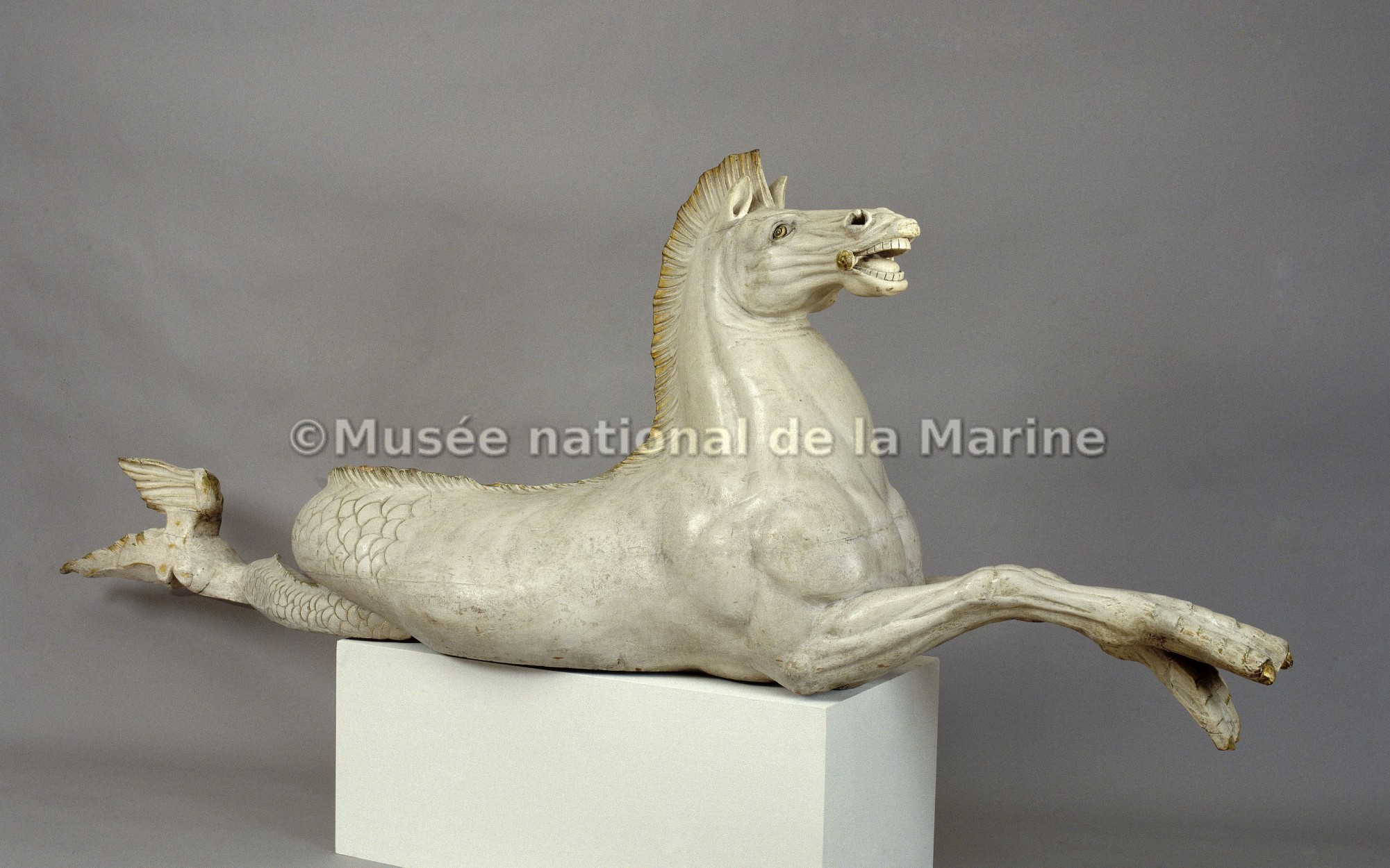 Cheval marin, tête relevée, vue du profil gauche (après restauration)